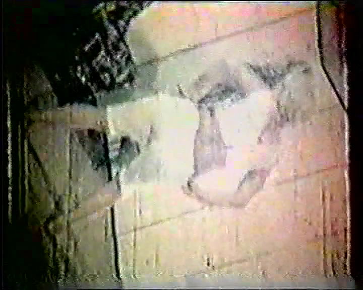 Random pk masala mujra video collection