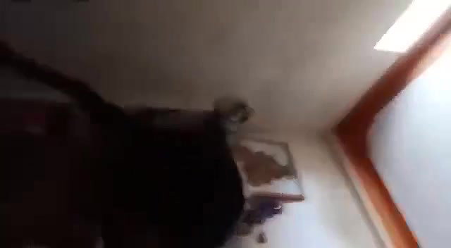 Married couple hard fucking video full 8 min