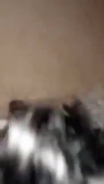 Bengali Bhabhi Very Hand Banged by Hubby With Loud Moaning
