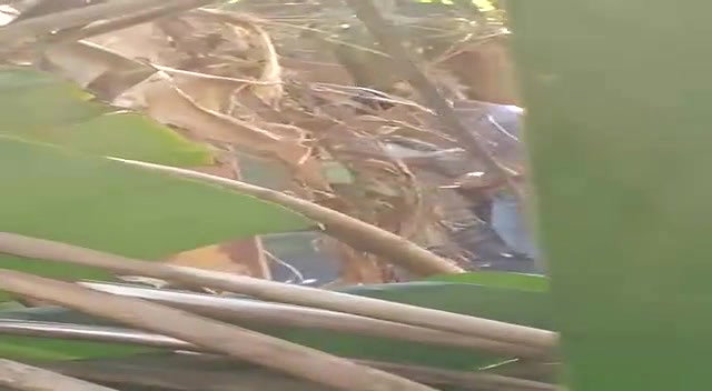 Outdoor fucking many clips