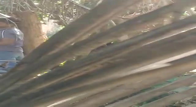 Outdoor fucking many clips