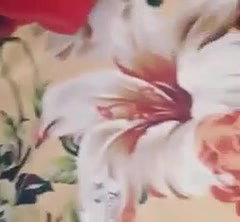 Hornu Daring Bhabhi devr