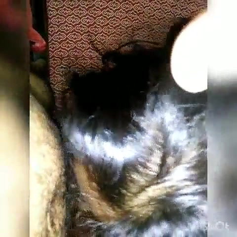 Young girl blowjob and fucked hard