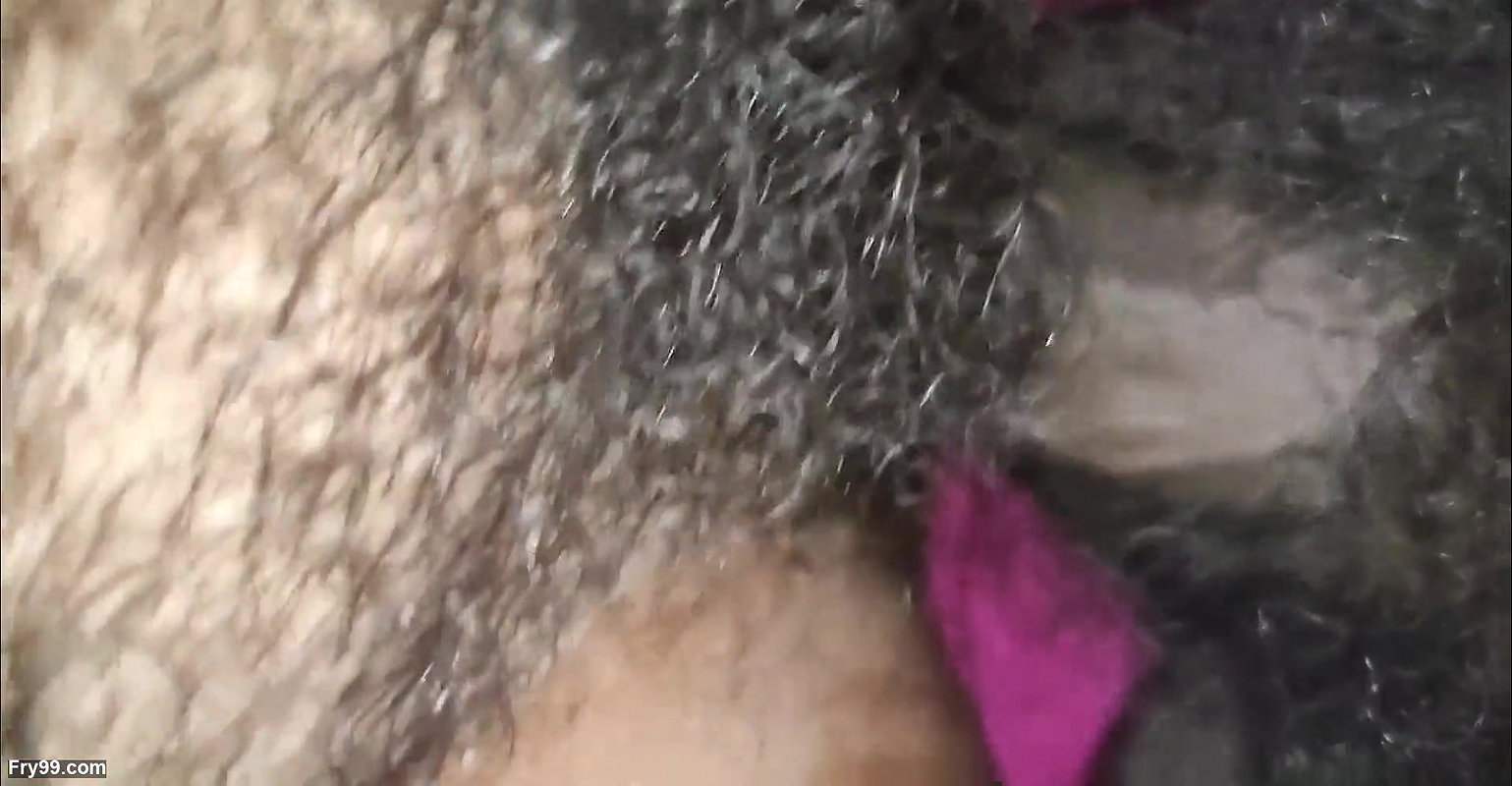 Pati apne kale lund se biwi ki chut ki pyas sant ki aur pani