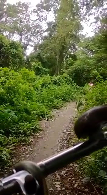 Assame Boudi Pussy Licking By Lover In Jungle