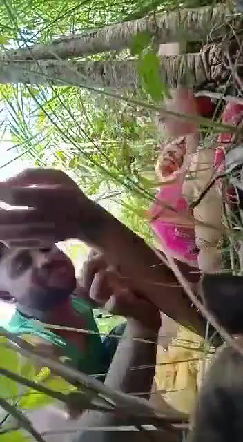 Beautiful girl fucking in jungle