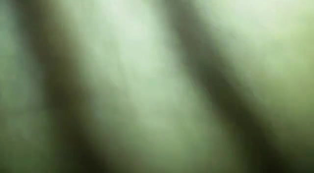 Fucking with jija