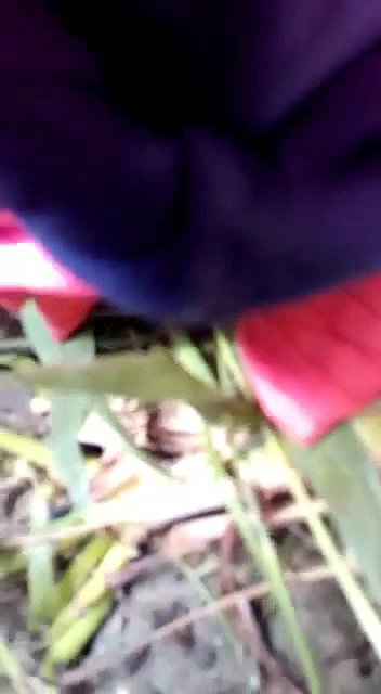 Shy Village Girl Pussy Fingered by Lover in Jungle