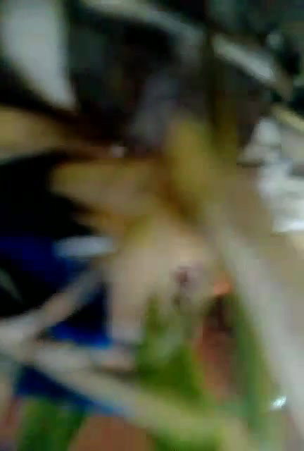 Village Girl Outdoor Captured by Lover