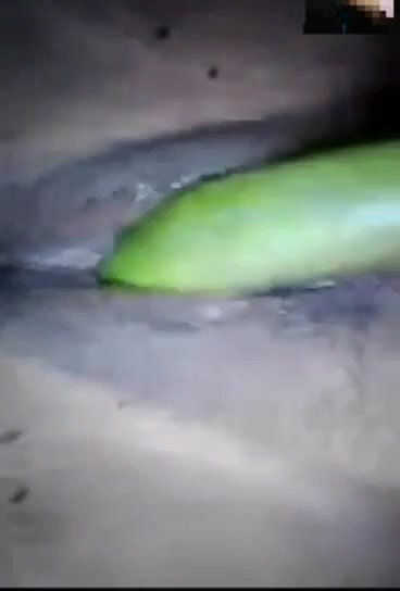 Village Bhabi Masturbating