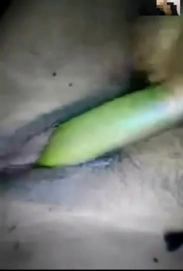 Village Bhabi Masturbating