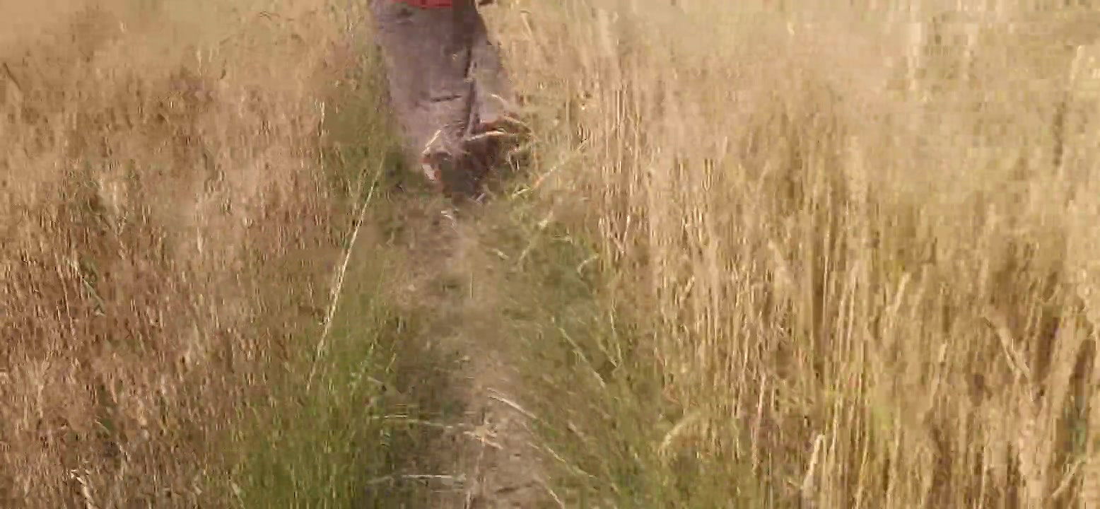 Beautiful sister-in-law cut fodder in the wheat field, brother-in-law fucked big fat ass in sister-in-law’s mouth in the open forest