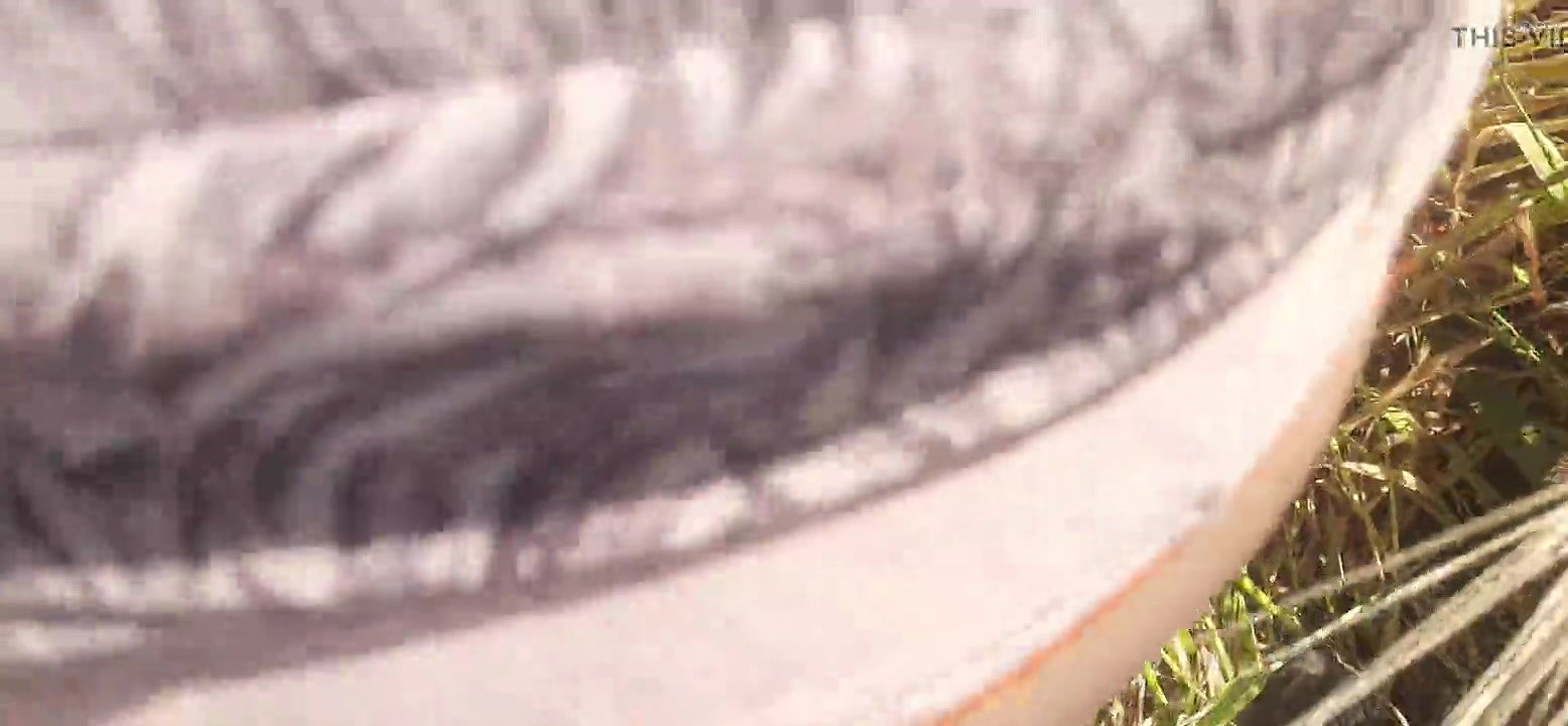 Beautiful sister-in-law cut fodder in the wheat field, brother-in-law fucked big fat ass in sister-in-law’s mouth in the open forest