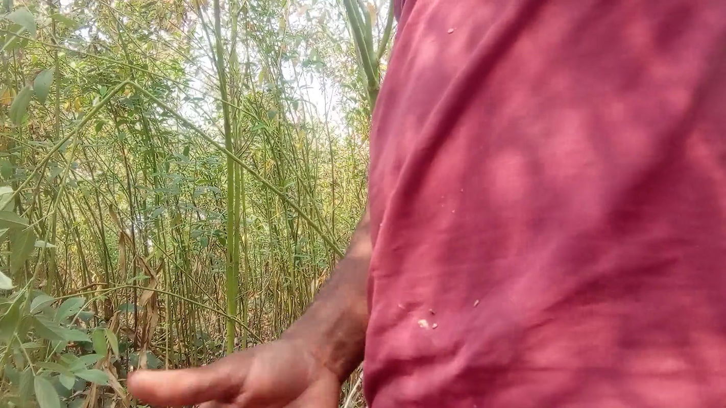 Indian Desi Bhabhi – After calling the village girl in the jungle, my sister-in-law’s ass turned out to be very tight