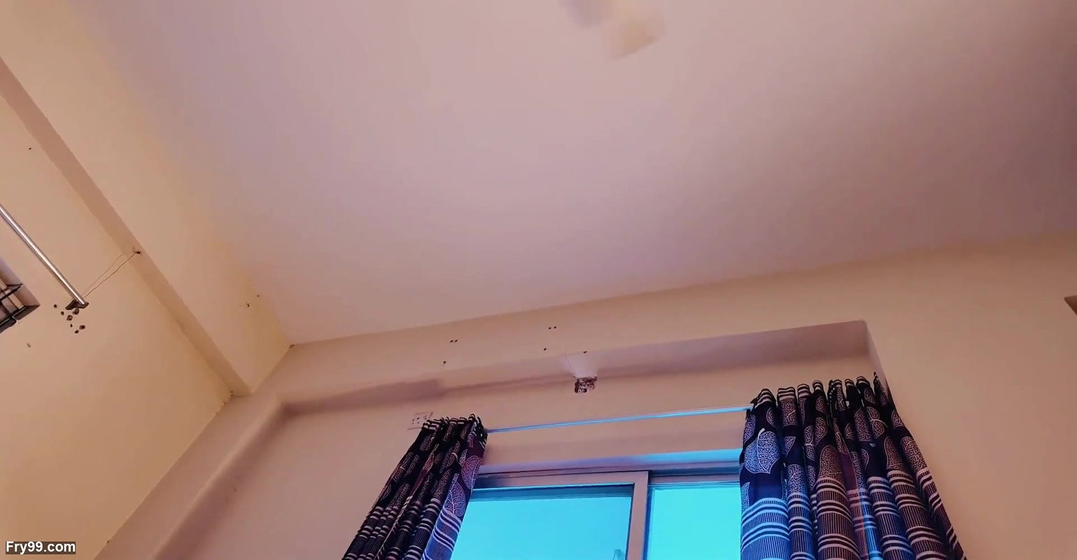 Passion 4k sexual girls fuck threesome homemade video