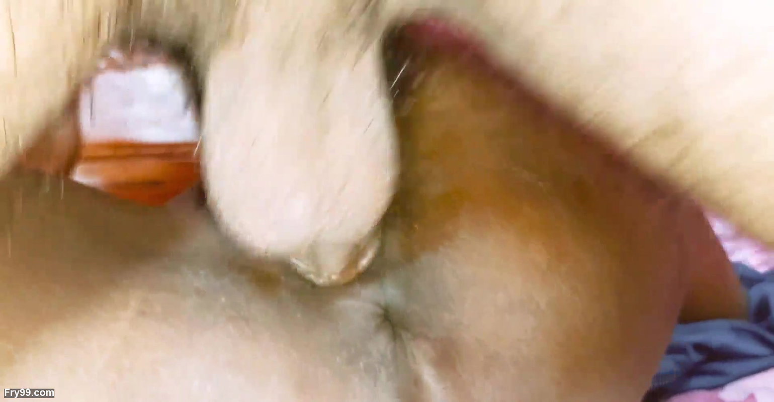 Pretty colleges sluts getting her rough pussy fucking great porn forsome sex- hanif & popy khatun & mst Sumona & manik Mia