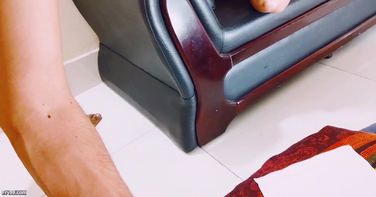 Young amateur Couple Fucks xxx video  hanif and adori