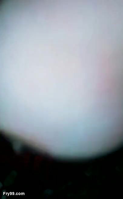 Indian solo girl – pussy and big boobs