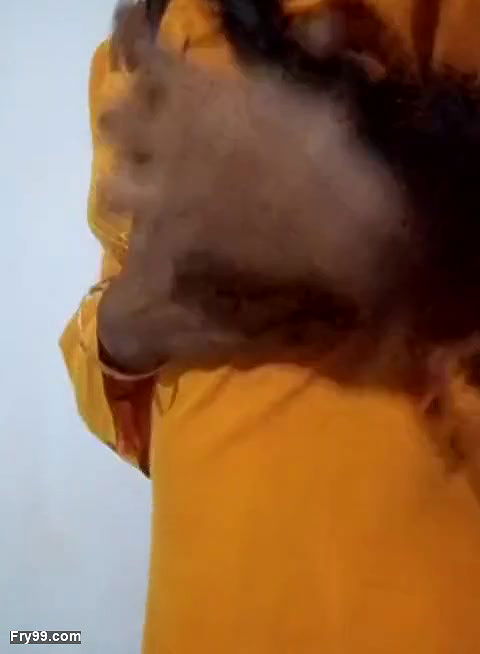 Tamil Wife’s Big Ass Show