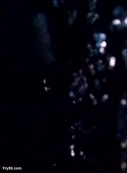 Tamil Wife In Bikini