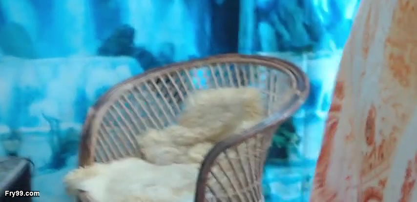 Pussy Fucking Missionary, Flash Boobs – 2041