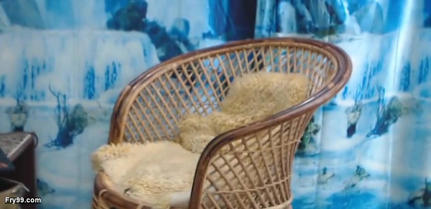 Pussy Fucking Missionary – 2033