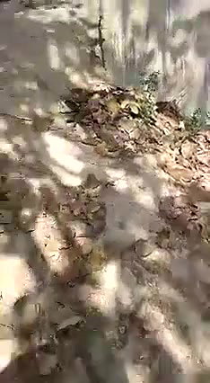 Desi lover caught outdoor