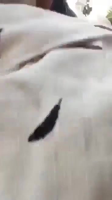 Cute Assamese girl outdoor fucking and creampie