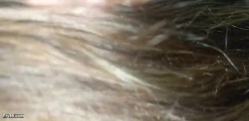 Today i ride on her in full romance mood Today i ride on her in full romance mood indian sex desi sex