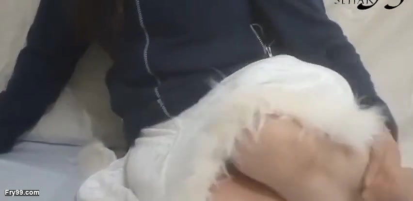 Relieving the Stress of My Husband by Sehar