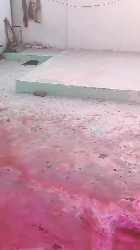 3 Guys pressing boobs of a desi girl during holi