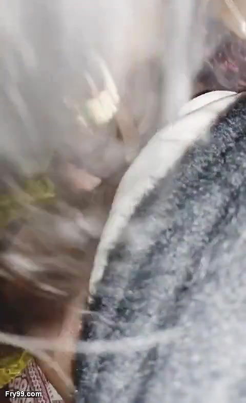 Paki school girl sucking big cock