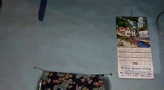 Village beauty hairy pussy fucking