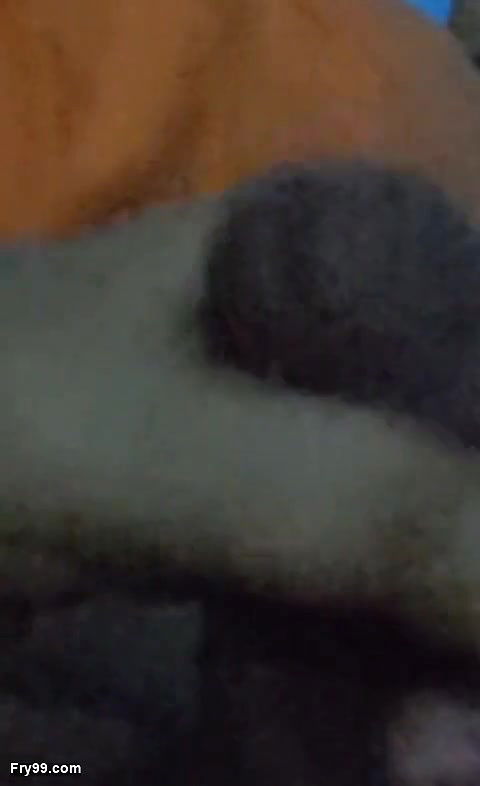 German Dirty Tina Fuck by Huge Cock