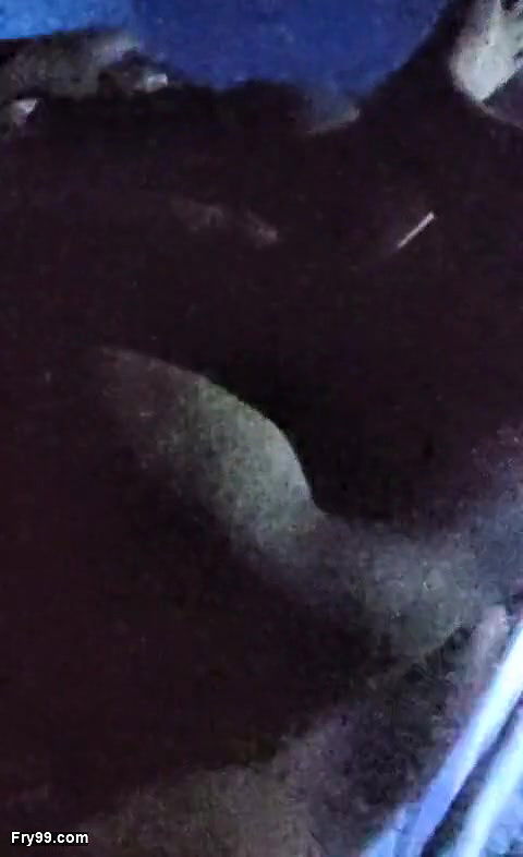 Garam sali loud moaning Dekho ur moot he lagty raho