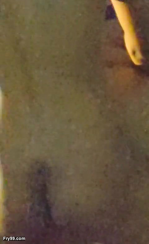 Excited girlfriend want fuck