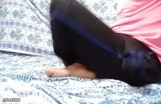 Dasi Indian boy and girl sex in the hotel 275