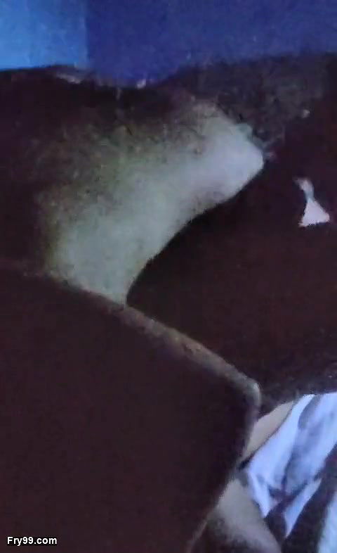 Come inside her To much hard core sex and dick sucking