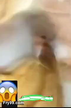 Ayesha akram Pakistani Tiktoker leaked Video call