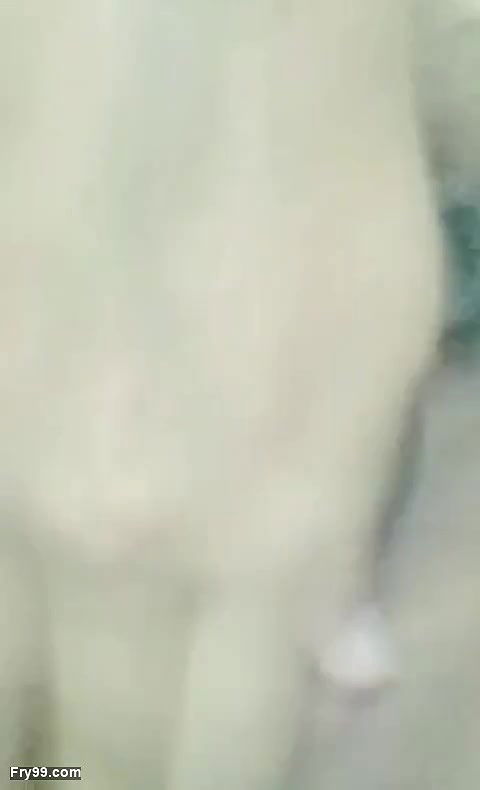 Ass fucking Pakistani beautiful girl