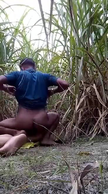 Desi Affair lover Ghapaghap in sugarcane field