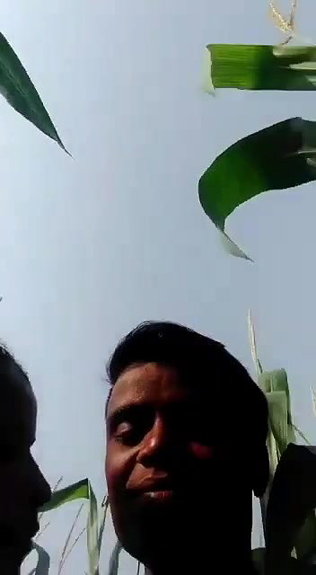 Outdoor Sucking Gf Boobs