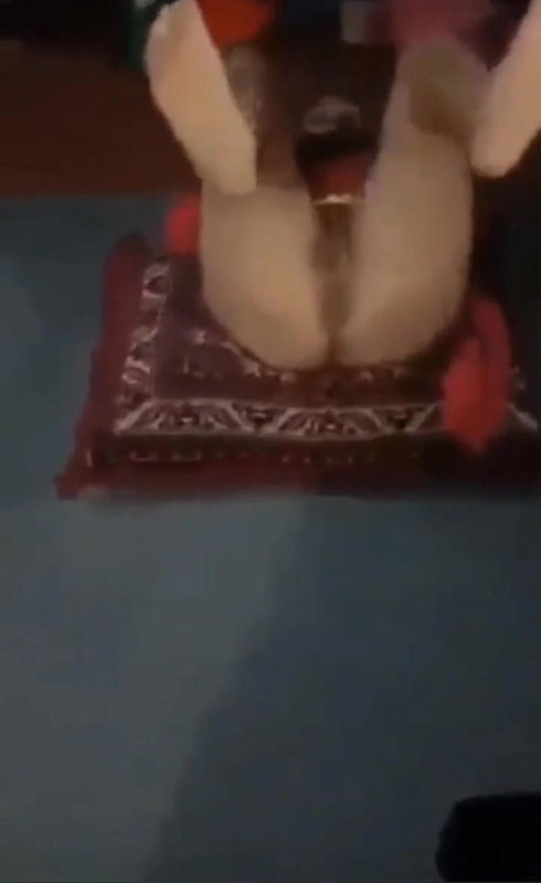 Pathan Wife Showing Ass and Pussy