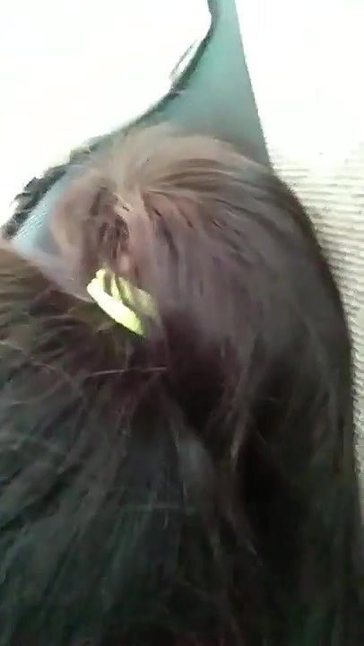 Car fucking with clear hindi talking