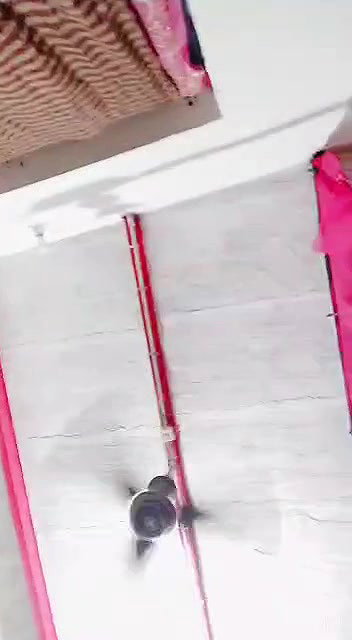 Desi Lover fUCKING Leaked 5 Videos