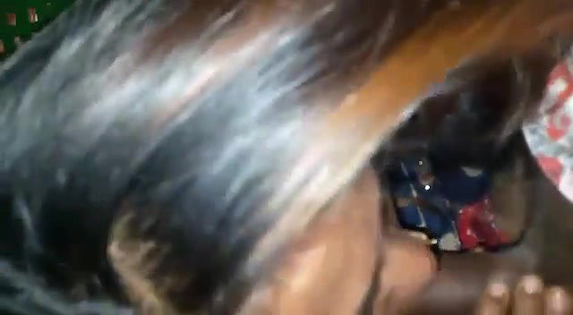 Young village girl giving blowjob