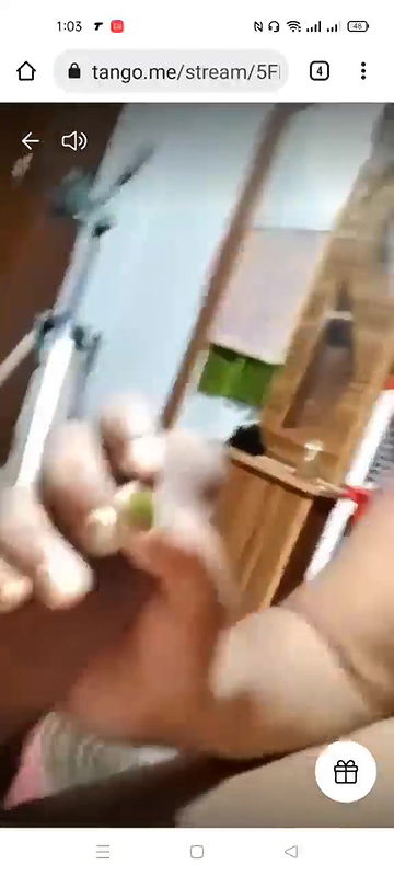 Myd rand bengali tango video collection – 51