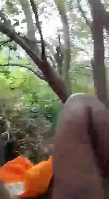 Sabia Slut Sex With Her Customer