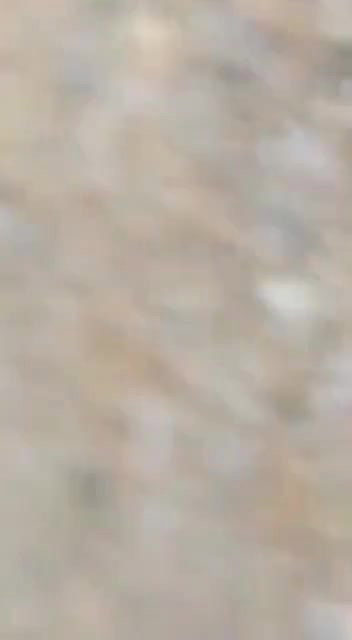 Collage lver Outdoor  fun