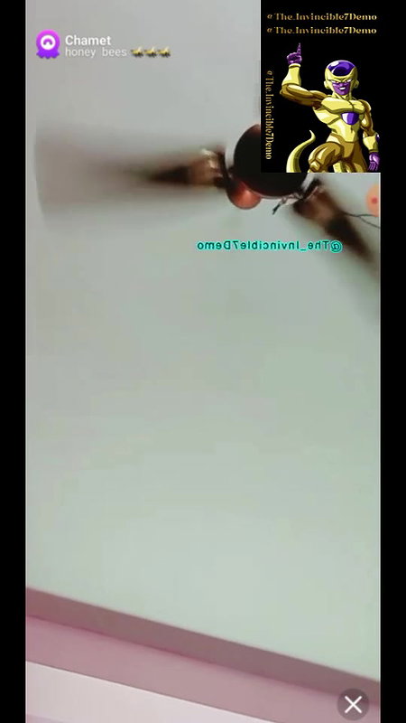 Myd The_Invincible7 channel Chamet Exclusive new all collection – 845